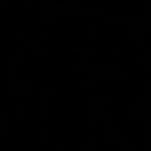 Meet your Posher, Micaela